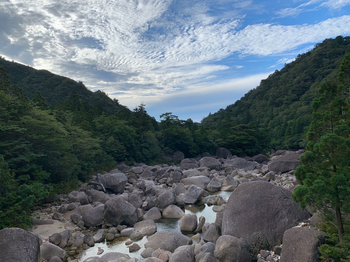縄文杉までのツライ道のり。川のせせらぎに癒されました♡