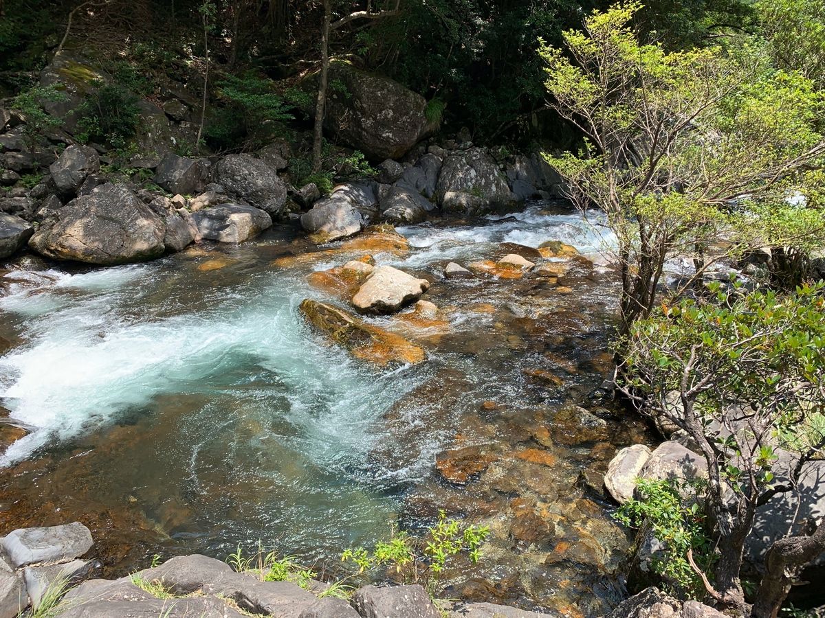 大川の滝！写真を撮っていると地元のおとうさんが来て「写真撮ってやるよ」と。...