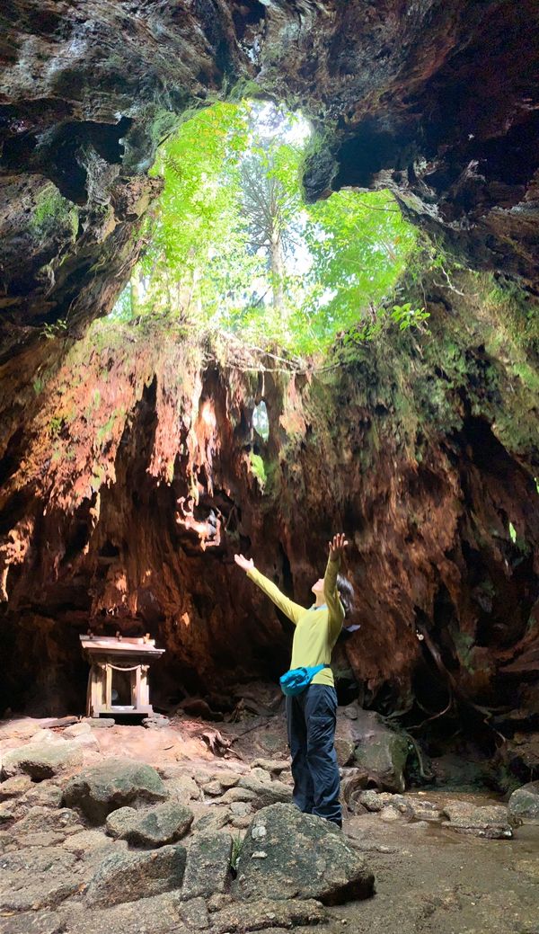 日本・縄文杉、白谷雲水峡、いなか浜「屋久島ひとり旅」の写真：♡型に見える、ウィルソン株！縄文杉への道...