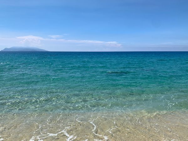 日本・縄文杉、白谷雲水峡、いなか浜「屋久島ひとり旅」の写真：ウミガメが産卵にやってくる永田いなか浜！