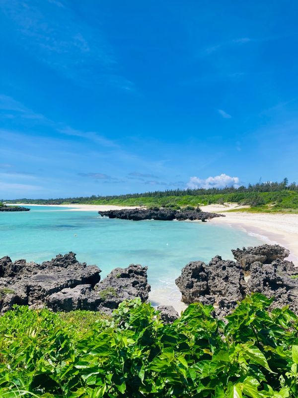 日本・与論島「与論島」の写真
