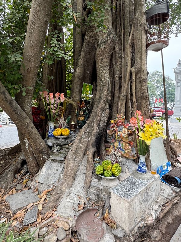 ベトナム・ハノイ「ベトナム　ハノイ」の写真：ベトナム　ハノイ
●大木にたくさんの神様...