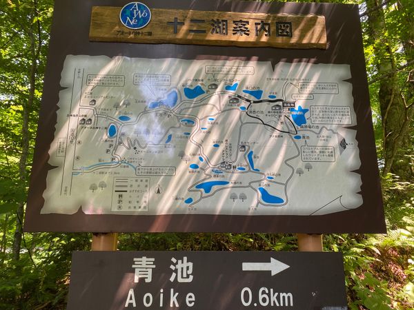 日本・秋田県「白神山地　青池🇯🇵」の写真：青池到着。昼の一時半ごろ。思った以上に綺...