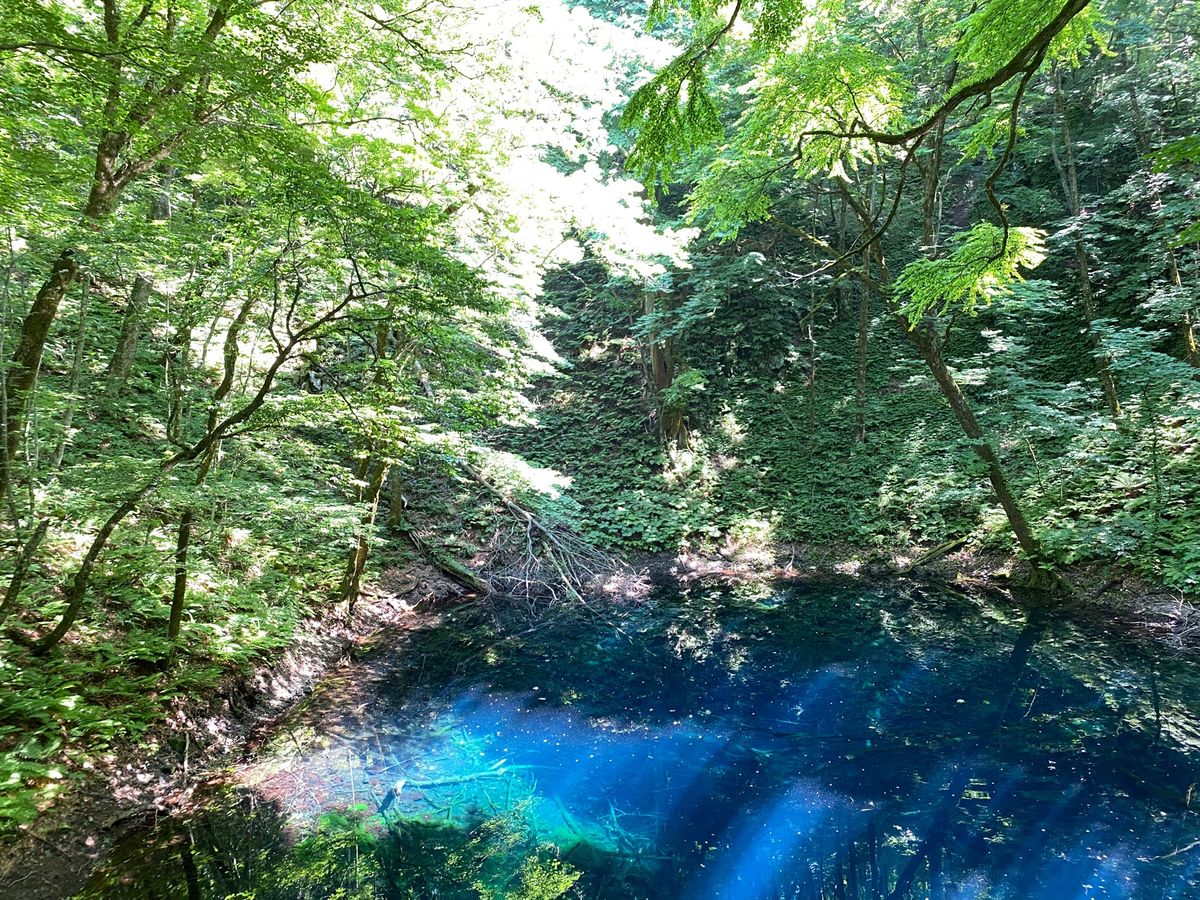 青池到着。昼の一時半ごろ。思った以上に綺麗で来て良かった。