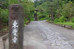 花の寺としても知られる東慶寺。残念ながら近年は境内での撮影が禁止になってし...