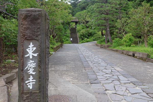 日本・鎌倉「いざ、鎌倉！」の写真：花の寺としても知られる東慶寺。残念ながら...