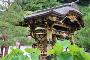 建長寺ではハスの花が綺麗に咲いていました。