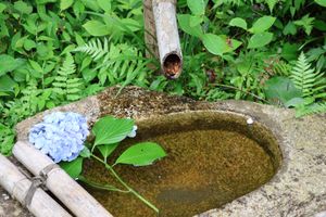 こちらも円覚寺