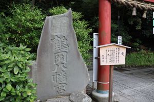 鶴岡八幡宮を参拝。夏越しの祓。