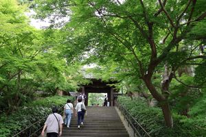 北鎌倉駅を降りて先ずは円覚寺へ