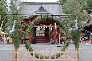 鶴岡八幡宮を参拝。夏越しの祓。