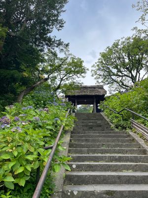 花の寺としても知られる東慶寺。残念ながら近年は境内での撮影が禁止になってし...