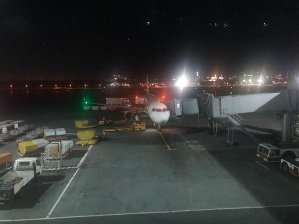 フィリピン・セブ「オスロブでジンベエザメと泳ぐ」の写真：マニラで乗り継ぎ