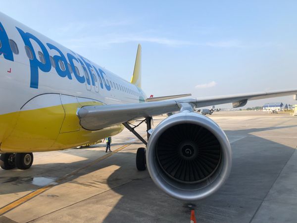 フィリピン・セブ「オスロブでジンベエザメと泳ぐ」の写真：04/May/2019
5J　552
C...