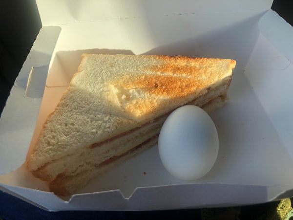 フィリピン・セブ「オスロブでジンベエザメと泳ぐ」の写真：朝早く出発してオスロブに行くよ、とホテル...