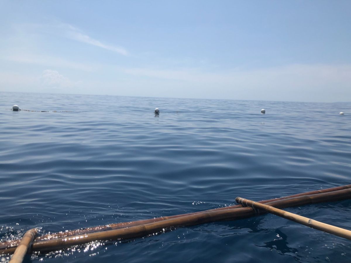 朝早く出発してオスロブに行くよ、とホテルの人に伝えたら、朝パンを用意してく...