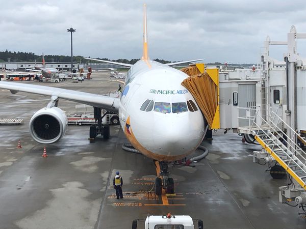 フィリピン・セブ「オスロブでジンベエザメと泳ぐ」の写真：29/Apr/2019
5J 5055 ...