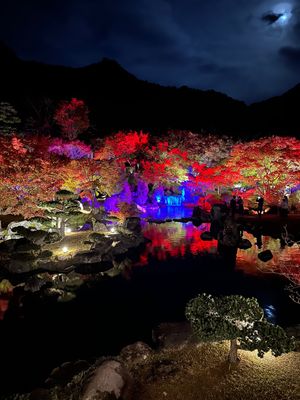 渓石園に紅葉を見に🍁
沢山写真撮ってもらった📸

この三つ編みは妹がしてくれた🍀