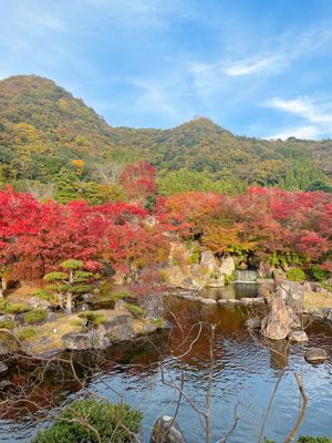 渓石園に紅葉を見に🍁
沢山写真撮ってもらった📸

この三つ編みは妹がしてくれた🍀