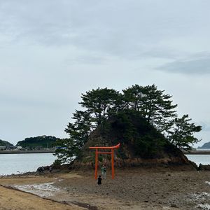 大島へ🍊

自然に囲まれた１日🌱
沢山歩いて山登りもして、浜辺で強風に煽ら...