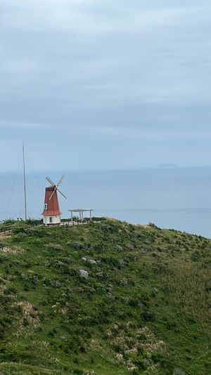 大島へ🍊

自然に囲まれた１日🌱
沢山歩いて山登りもして、浜辺で強風に煽ら...