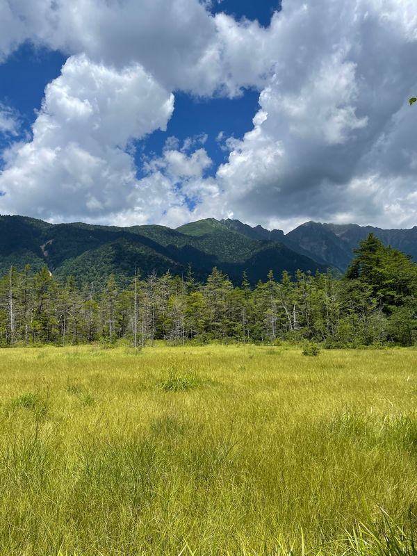 日本・長野県「🐶長野上高地」の写真