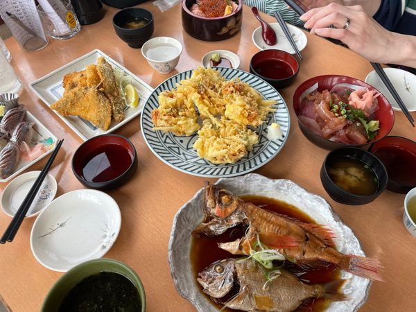 日本・千葉県「🐶館山」の写真