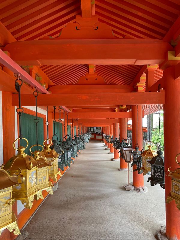 日本・奈良市「奈良」の写真