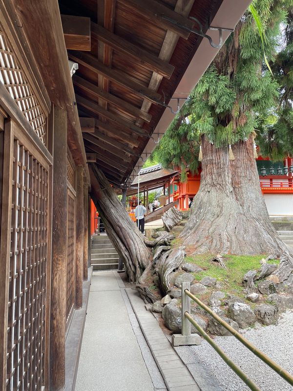 日本・奈良市「奈良」の写真
