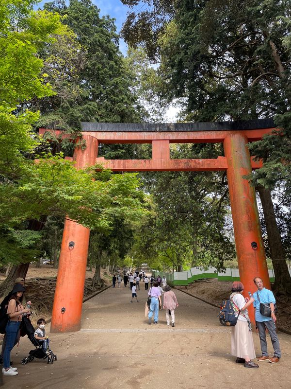 日本・奈良市「奈良」の写真