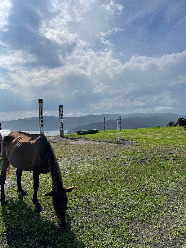 日本・宮崎県「宮崎」の写真