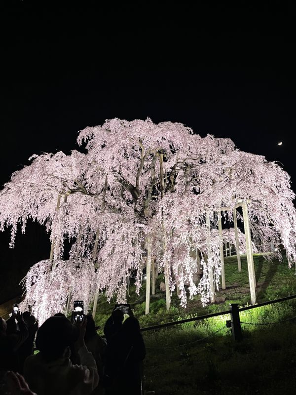 日本・福島県「郡山の春」の写真