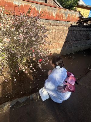 川越散策🤍
大好きな水色の着物をきて、歩き回った👘
移動中は天気がかなりわ...