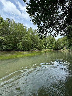 2日目はカンザー国立公園へ

カンザー国立公園はマングローブがあるのですが...