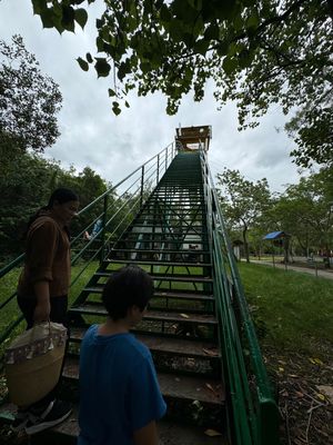 展望台からのカンザー国立公園の眺め。
展望台は揺れます笑