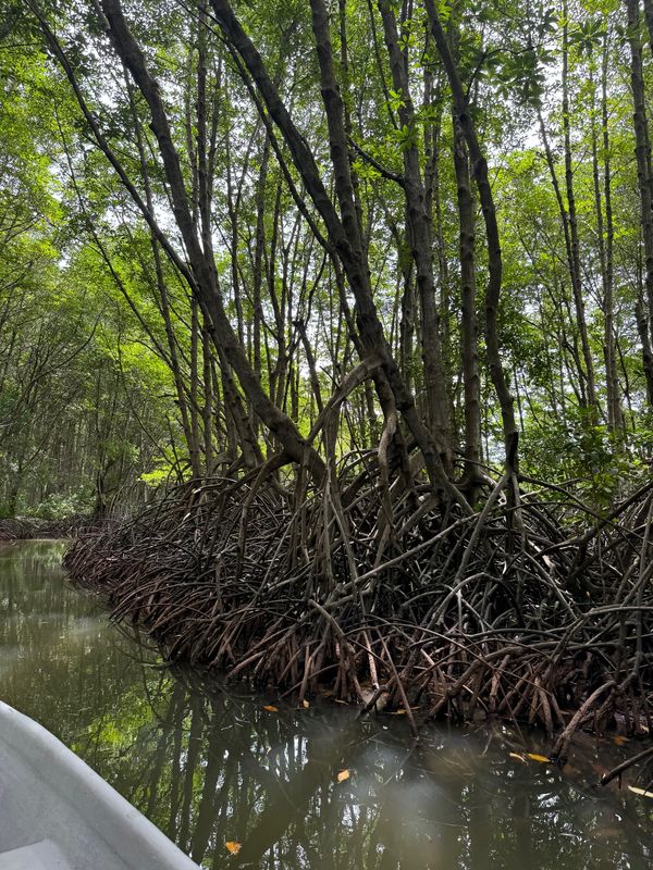 ベトナム・ホーチミン「急遽ベトナムホーチミンへ！」の写真：2日目はカンザー国立公園へ

カンザー国...