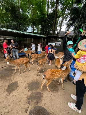 翌日はカンザーに行く予定だったけどツアーの日程が合わずフリーに。でも深夜便...