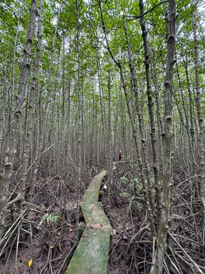 カンザー国立公園内のレストランでベトナム料理

大丈夫かなぁと思ってたけど...