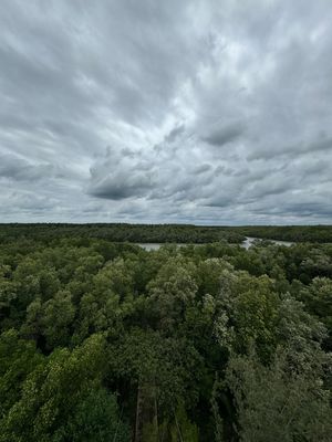 展望台からのカンザー国立公園の眺め。
展望台は揺れます笑