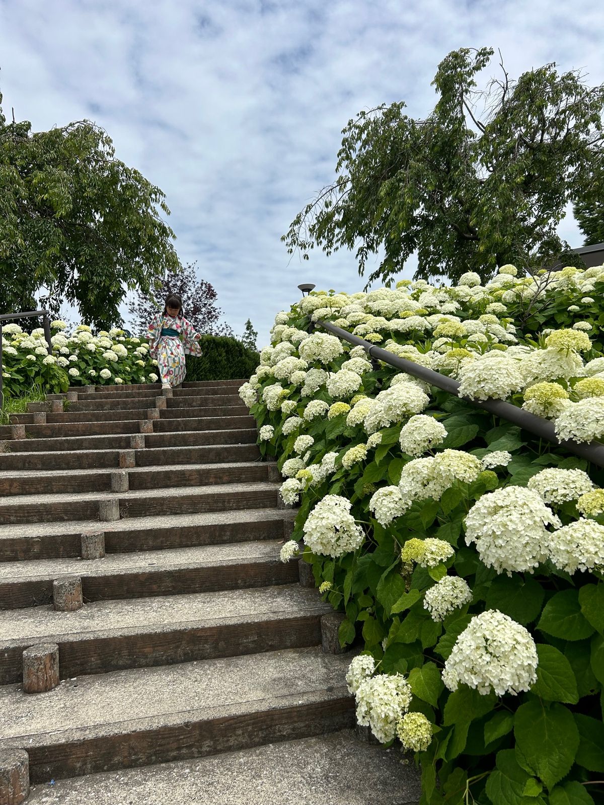 紫陽花集💠🌿‬ ܸ
お台場海浜公園で一休みして風に当たりながら本を
読んだ...