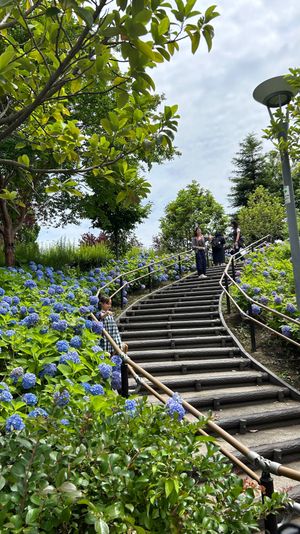 紫陽花集💠🌿‬ ܸ
お台場海浜公園で一休みして風に当たりながら本を
読んだ...