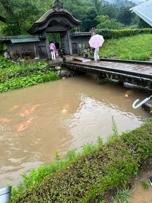 ちょっと雨止んだ