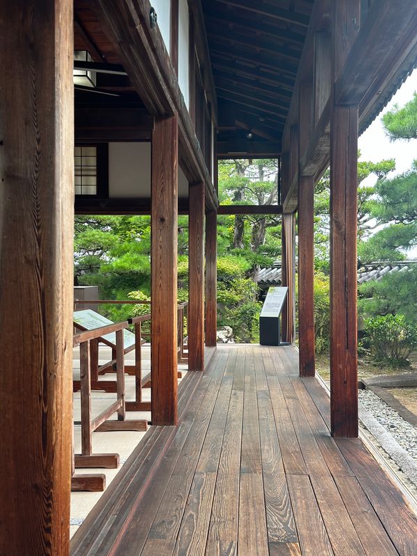 日本・桂浜「高知　2024.07」の写真