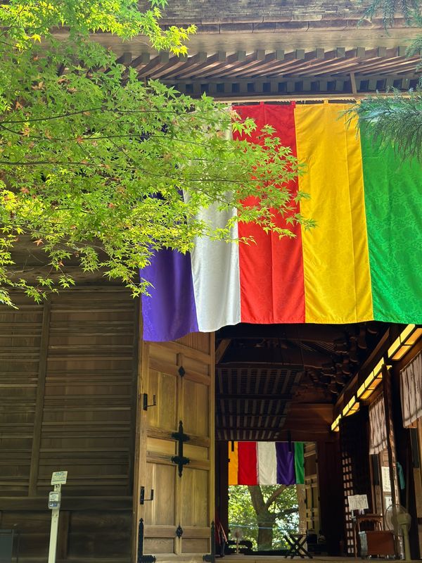 日本・桂浜「高知　2024.07」の写真