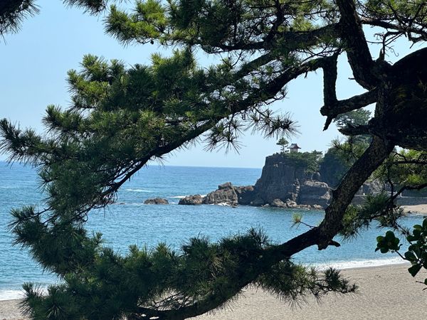 日本・桂浜「高知　2024.07」の写真