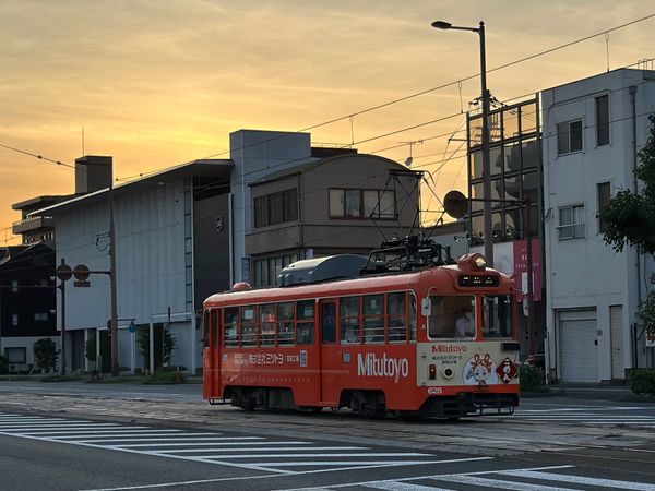 日本・桂浜「高知　2024.07」の写真
