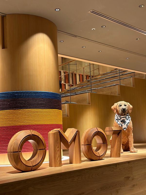 日本・桂浜「高知　2024.07」の写真