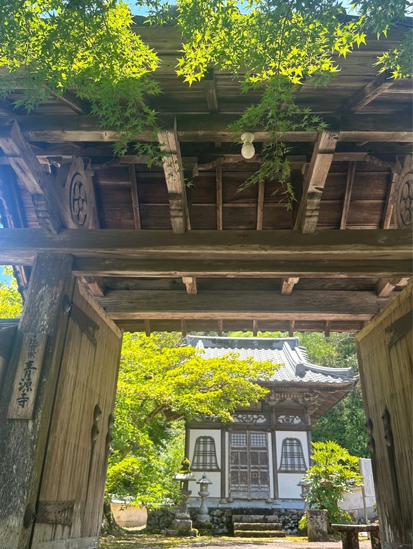 日本・桂浜「高知　2024.07」の写真