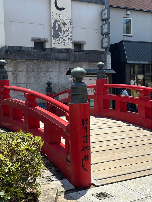 日本・桂浜「高知　2024.07」の写真