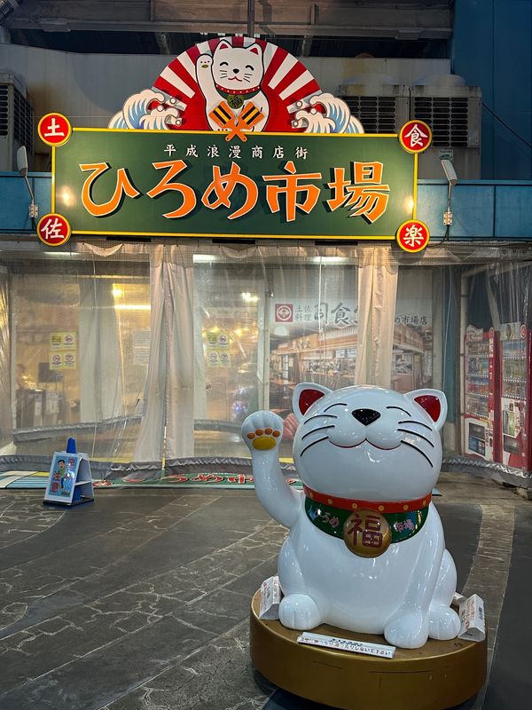 日本・桂浜「高知　2024.07」の写真